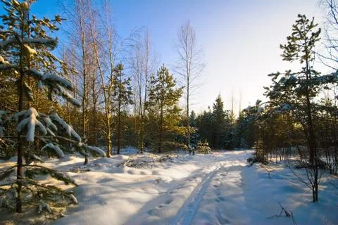 Winter field under Stock Photos