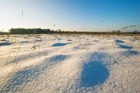 Winter field under Stock Photos