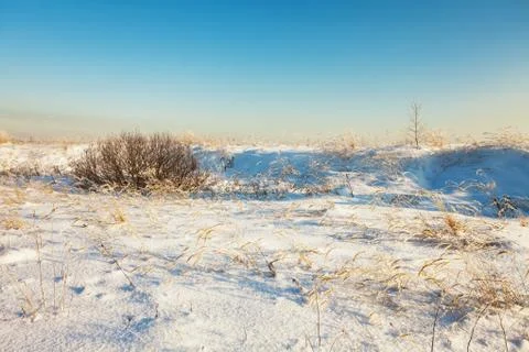 Winter field under Stock Photos