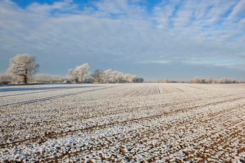 Winter fields Stock Photos