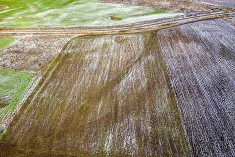 Winter Fields Stock Photos