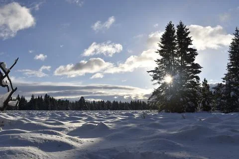 Winter Fields Fotos de archivo