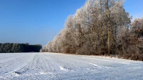 Winter fields in Poland. Winter landscape with snow covered fields. Stock Footage 226376565