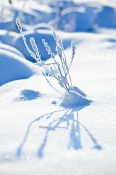 Winter in Finland Stock-Fotos