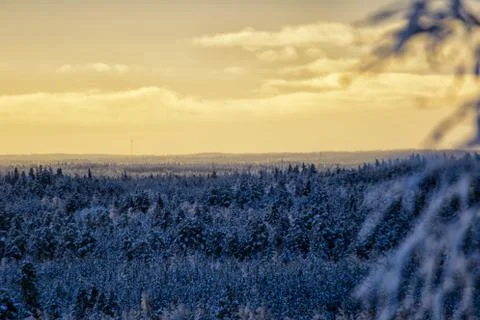Winter in Finland Stock Photos