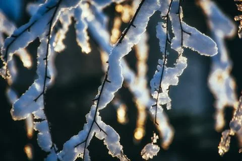 Winter in Finland Stock Photos