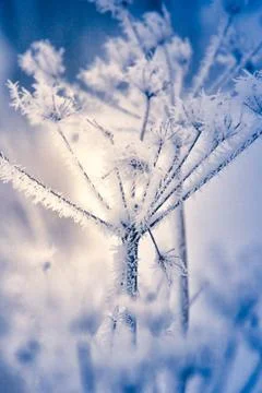 Winter in Finland Stock Photos