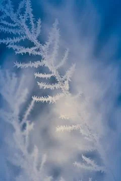 Winter in Finland Stock Photos