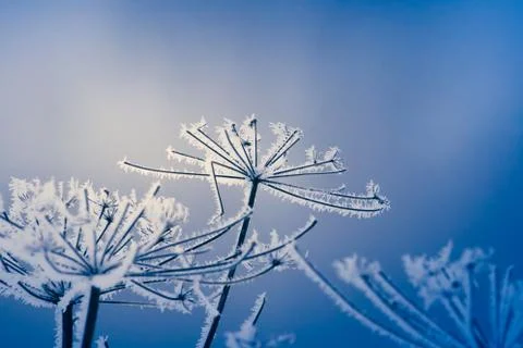 Winter in Finland Stock Photos