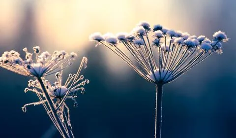Winter in Finland Stock Photos