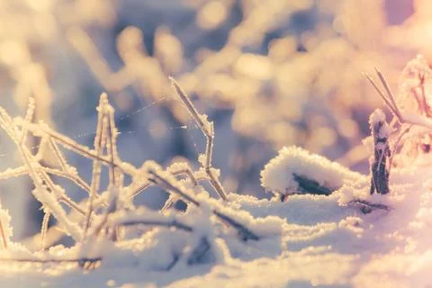 Winter in Finland Stock Photos
