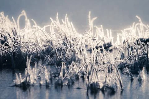 Winter in Finland Stock Photos