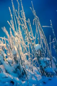 Winter in Finland Stock Photos