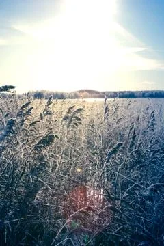 Winter in Finland Stock Photos