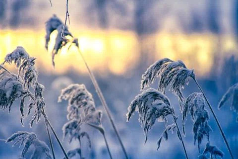 Winter in Finland Stock Photos