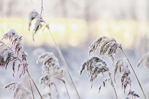 Winter in Finland Stock Photos