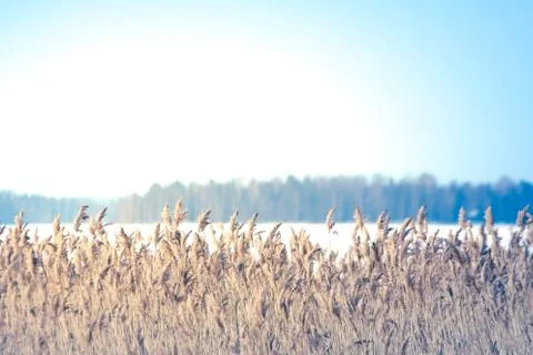 Winter in Finland Stock Photos