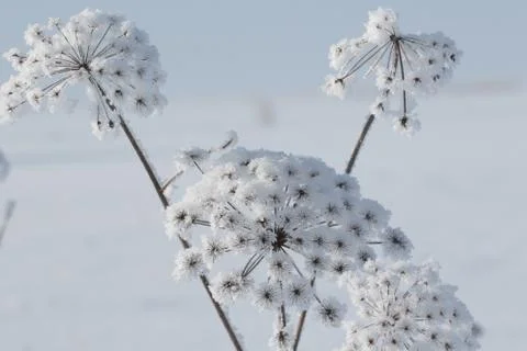 Winter in Finland Stock Photos