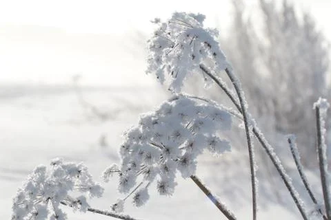 Winter in Finland Stock Photos