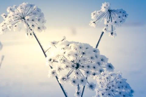 Winter in Finland Stock Photos