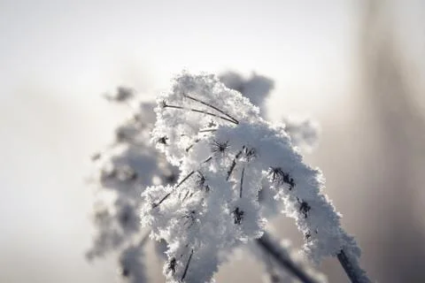 Winter in Finland Stock Photos