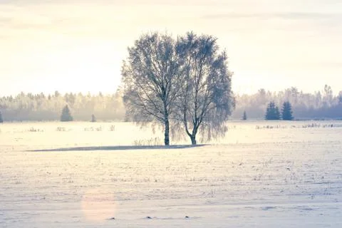 Winter in Finland Stock Photos