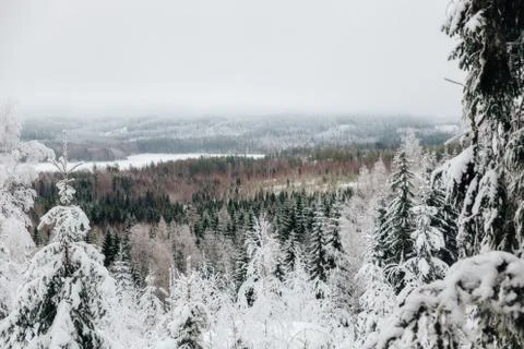 Winter in Finland 스톡 사진