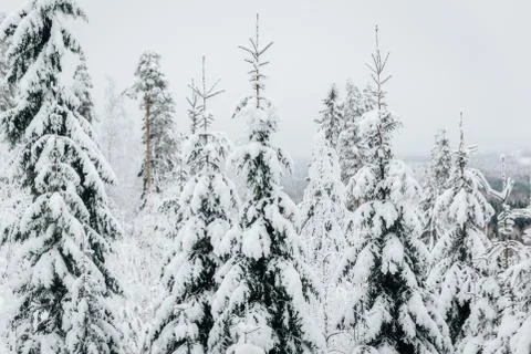 Winter in Finland 스톡 사진