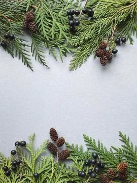 Winter fir frames on silver background. happy new year 2021 Stock Photos