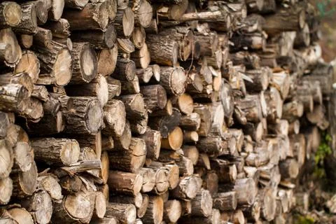Winter firewood Stock Photos