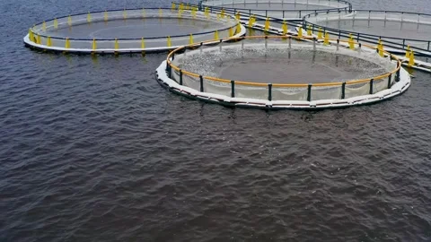 Winter First Snow Over Salmon Fish Farm - Aerial View. Aerial drone shot Stock Footage 265852090
