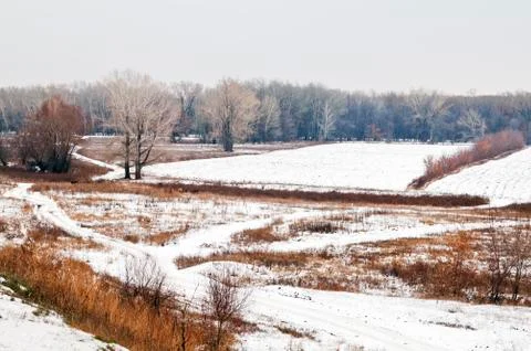 Winter. First snow Stock Photos