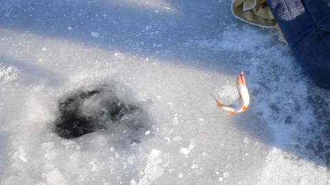 Winter fishing close-up. Stock Footage 85081242