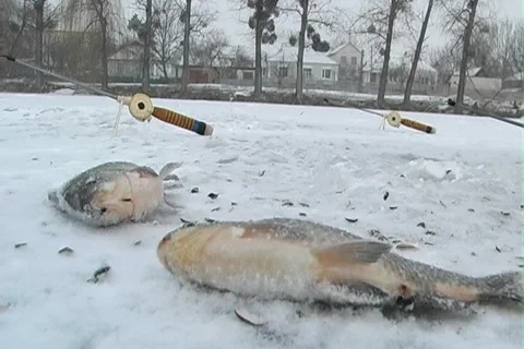 Winter fishing Stock Footage 1044958