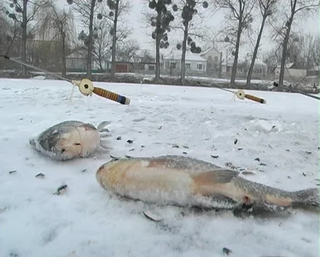 Winter fishing Stock Footage 1044960