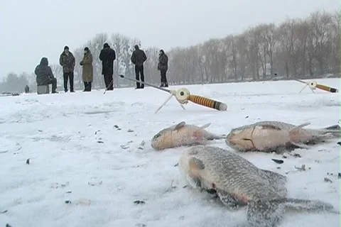 Winter fishing Stock Footage 1044970
