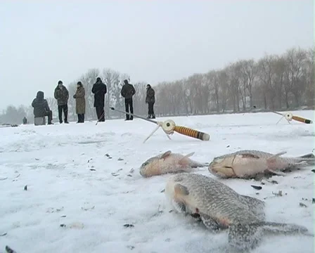 Winter fishing Stock Footage 1044976