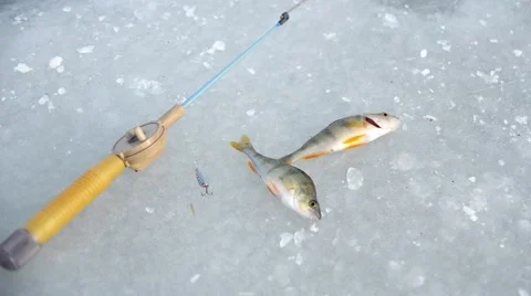 Winter fishing. Video stock 45958430