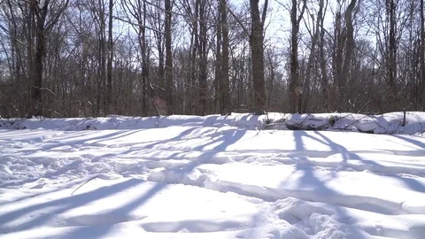Winter fishing Vidéo 74207079