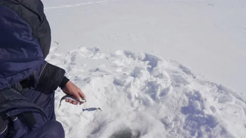 Winter fishing. Stock Footage 149381714