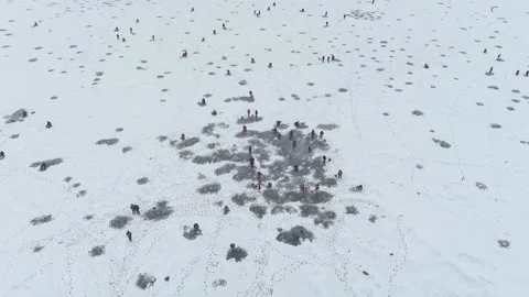 Winter fishing. Stock Footage 169817709