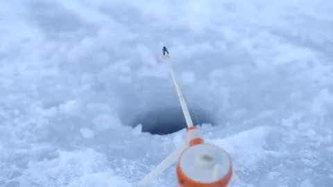 Winter fishing rod bobber bouncing on ice hole during lake ice fishing. Stock Footage 313815257