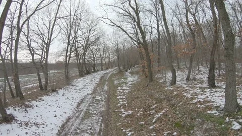 Winter flight in an oak forest Stock Footage 149270122