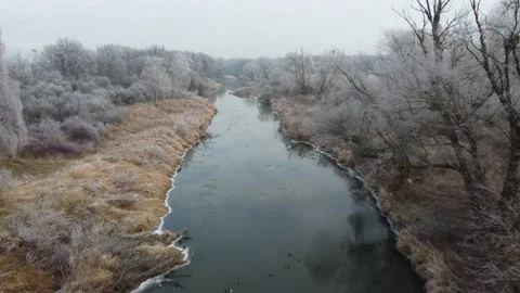 Winter flight over a river whose banks are covered with frosted trees Stock Footage 168491168