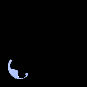 Winter Flourish Motion Design Element 02 HD Stock Footage 10870751