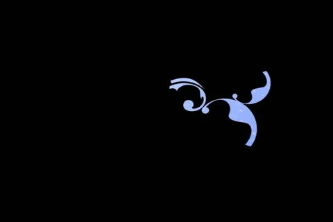 Winter Flourish Motion Design Element 01 Stock Footage