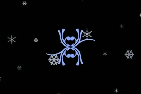 Winter Flourish Wipe Stock Footage 10870819