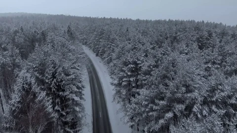 Winter Flying Above Forest Completely Covered In Snow 库存影片 103529522