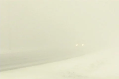 WINTER FOG  Stock-Footage 81038