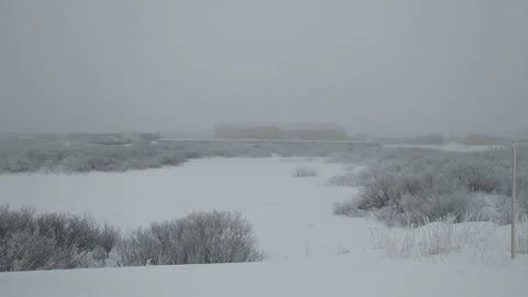 Winter fog 스톡 동영상 233320420